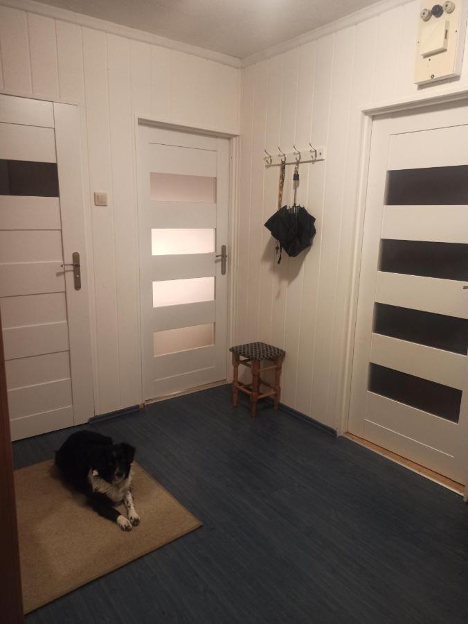 Apartament Za Rogiem Papierni Duszniki Zdrój Dış mekan fotoğraf